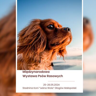 Międzynarodowa Wystawa Psów Rasowych Leśna Wola